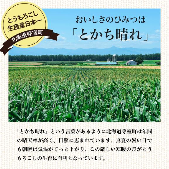 【ふるさと納税】北海道 十勝 芽室町 極甘つぶコーン 食べ比べ me016-002c06