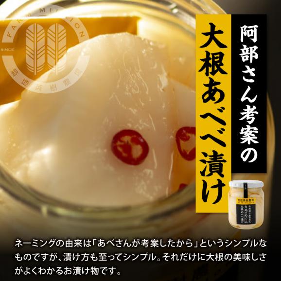 【ふるさと納税】北海道十勝芽室町 大地の熟成 手造り味噌・なんばん味噌・大根あべべ漬け me016-007c05