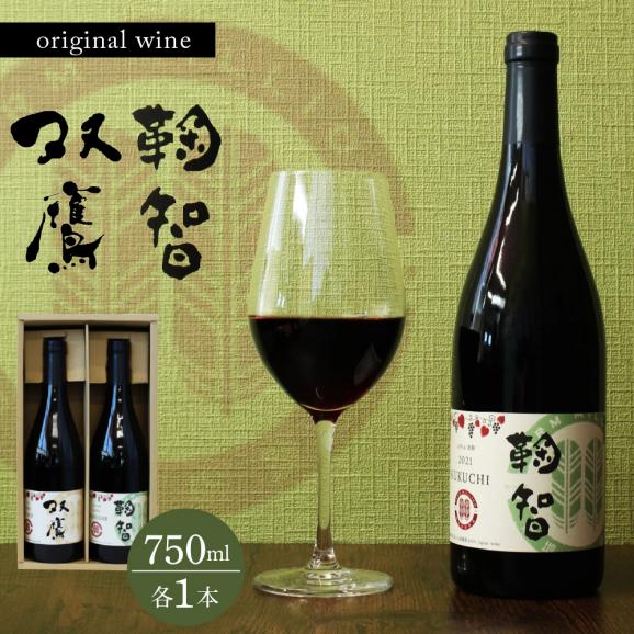 【ふるさと納税】北海道 十勝 芽室町 ファーム・ミリオン オリジナルワイン２本 me016-010c01
