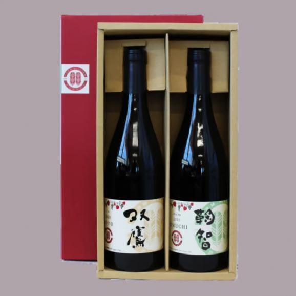 【ふるさと納税】北海道 十勝 芽室町 ファーム・ミリオン オリジナルワイン２本 me016-010c02