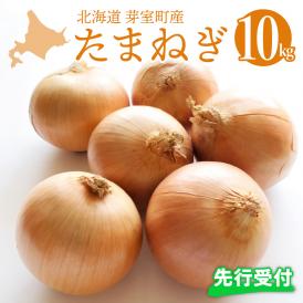 【先行受付】【2025年10月より配送予定】北海道十勝芽室産 たまねぎ10kg 1箱 me002-023-24c