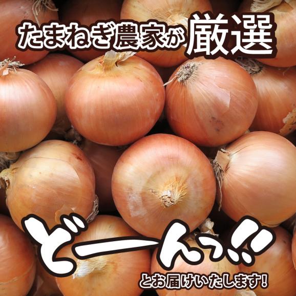 【先行受付】【2025年10月より配送予定】北海道十勝芽室産 たまねぎ10kg 1箱 me002-023-24c02