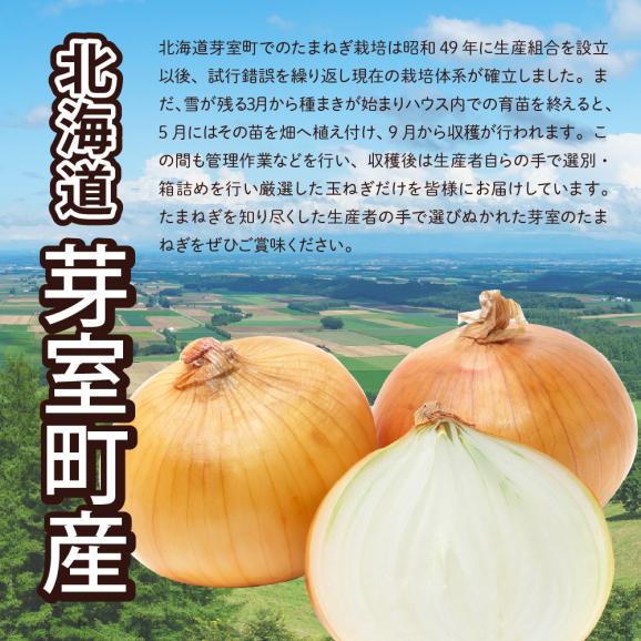【先行受付】【2025年10月より配送予定】北海道十勝芽室産 たまねぎ10kg 1箱 me002-023-24c03