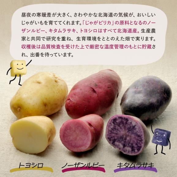 北海道土産 カルビー じゃがピリカ 10袋入り×5箱セット me003-048c03