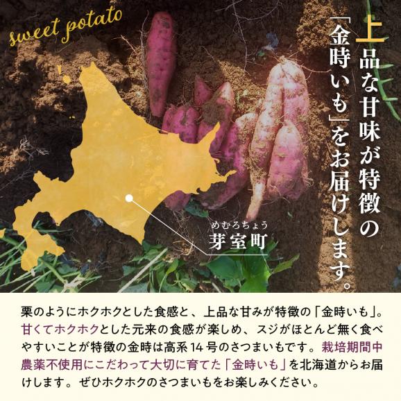 【2025年11月下旬より配送】北海道十勝芽室町産 有機JAS認証 鈴鹿農園 熟成さつまいも 金時いも 5kg（土付き）me049-012c-2503
