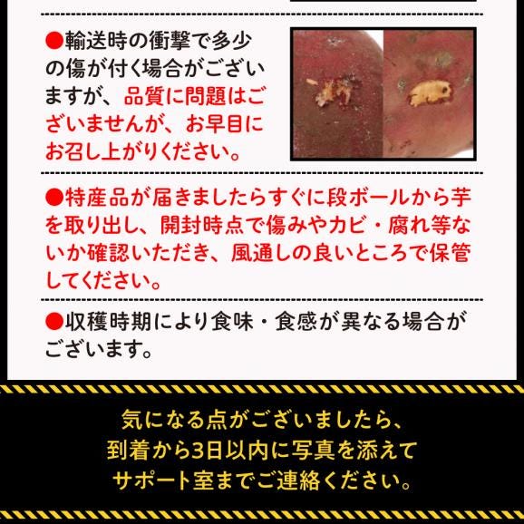 【2025年11月下旬より配送】北海道十勝芽室町産 有機JAS認証 鈴鹿農園 熟成さつまいも 金時いも 5kg（土付き）me049-012c-2505