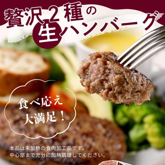 【3ヵ月定期便】北海道芽室町 3種よくばり ハンバーグ定期便 me000-010c05