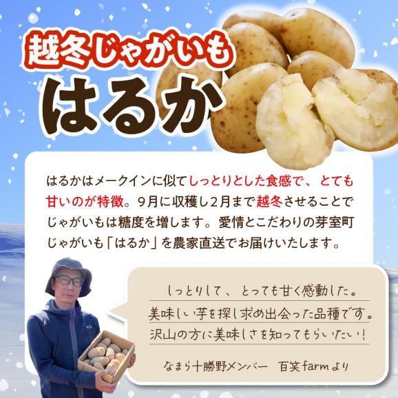 【先行受付】【2025年4月より順次発送】北海道十勝芽室町　なまら十勝野　越冬じゃがいも　はるか　5kg　me001-028c03