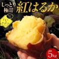 【12月以降発送】北海道十勝芽室町 なまら十勝野 芽室町産さつまいも【紅はるか】５㎏　me001-029c
