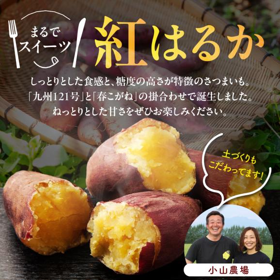 【12月以降発送】北海道十勝芽室町 なまら十勝野 芽室町産さつまいも【紅はるか】５㎏　me001-029c03
