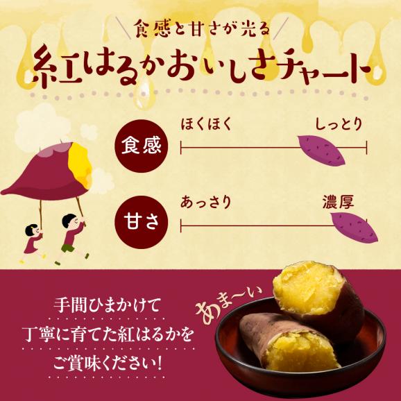 【12月以降発送】北海道十勝芽室町 なまら十勝野 芽室町産さつまいも【紅はるか】５㎏　me001-029c04