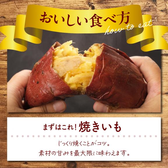 【12月以降発送】北海道十勝芽室町 なまら十勝野 芽室町産さつまいも【紅はるか】５㎏　me001-029c05