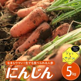 【先行受付】【10月上旬より発送】北海道十勝芽室町 なまら十勝野 芽室町産にんじん５㎏　me001-030c