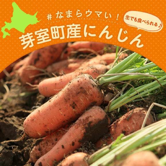 【先行受付】【10月上旬より発送】北海道十勝芽室町 なまら十勝野 芽室町産にんじん５㎏　me001-030c02