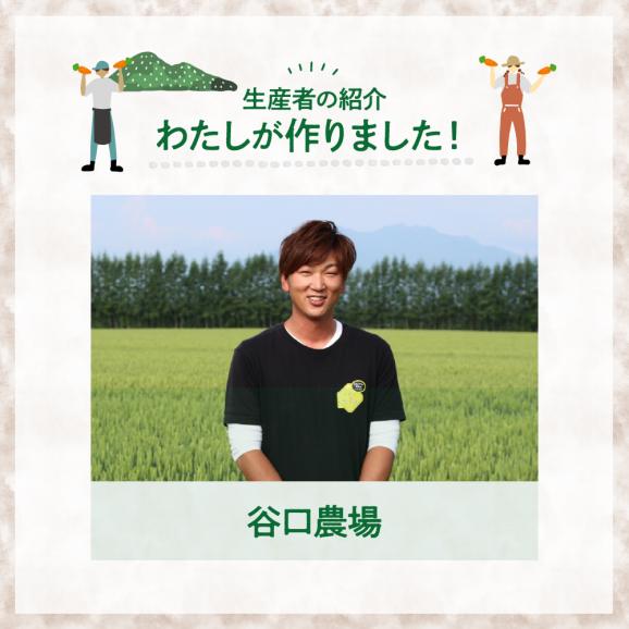 【先行受付】【10月上旬より発送】北海道十勝芽室町 なまら十勝野 芽室町産にんじん５㎏　me001-030c06