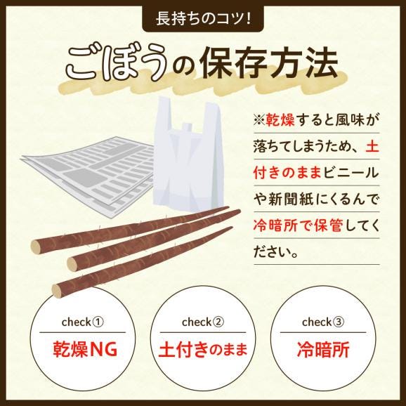 【先行受付】【2026年5月中旬より順次発送】北海道十勝芽室町 なまら十勝野 芽室町産 春掘りごぼう【柳川理想】M 5kg me001-032c05