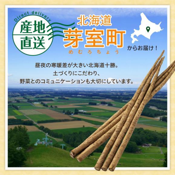 【先行受付】【2026年5月中旬より順次発送】北海道十勝芽室町 なまら十勝野 芽室町産 春掘り美肌ごぼう【ユキシズク】L5kg me001-035c04