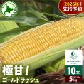 【先行受付】【2026年7月下旬～8月上旬まで配送予定】北海道十勝芽室町 極甘とうもろこし ゴールドラッシュ 10本 me028-001c-26