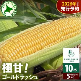 【先行受付】【2026年7月下旬～8月上旬まで配送予定】北海道十勝芽室町 極甘とうもろこし ゴールドラッシュ 10本 me028-001c-26
