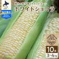 【2025年分先行予約】北海道十勝芽室町　廣田農園の白いスイートコーン10本 me031-001c-25