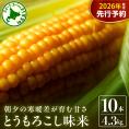【先行受付】【2026年7月下旬～8月上旬頃配送】北海道十勝 芽室町産 朝獲れ とうもろこし 味来10本　me035-004c-26