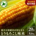 【先行受付】【2026年7月下旬～8月上旬頃配送】北海道十勝 芽室町産 朝獲れ とうもろこし 味来20本　me035-005c-26