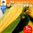 【先行受付】【2025年8月より発送】北海道十勝芽室町 ファームミリオンの極甘スイートコーン 5kg me016-011c-25