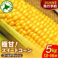 【先行受付】【2026年8月上旬〜8月中旬頃発送】北海道十勝芽室町 ファームミリオンの極甘スイートコーン 5kg me016-011c-26