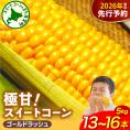 【先行受付】【2026年8月上旬〜8月中旬頃発送】北海道十勝芽室町 ファームミリオンの極甘スイートコーン 5kg me016-011c-26