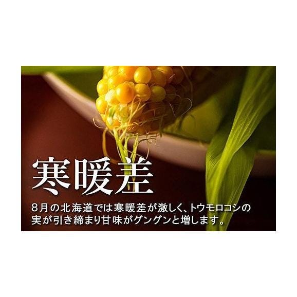 【2025年分先行予約】北海道十勝芽室町 北海道十勝 芽室町産 朝獲れ とうもろこし 味来 30本 me035-006c-2503