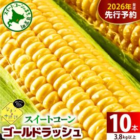【先行受付】【2026年7月下旬～8月15日頃配送】北海道十勝芽室町 スイートコーンゴールドラッシュ 10本 me001-003c-26