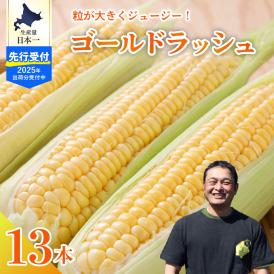 【2025年分先行予約】北海道十勝芽室町　スイートコーン ゴールドラッシュ 13本 me062-002c-25