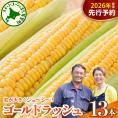 【先行受付】【2026年7月下旬～8月上旬頃配送】北海道十勝芽室町　スイートコーン ゴールドラッシュ 13本 me062-002c-26