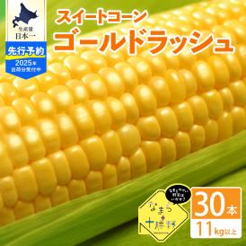 【2025年分先行予約】北海道十勝芽室町 なまら十勝野のスイートコーン ゴールドラッシュ(30本) me001-011c-25