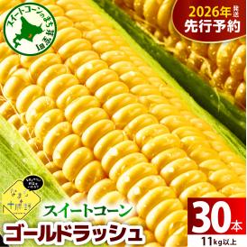 【先行受付】【2026年7月下旬～8月15日頃配送】北海道十勝芽室町 なまら十勝野のスイートコーン ゴールドラッシュ(30本) me001-011c-26