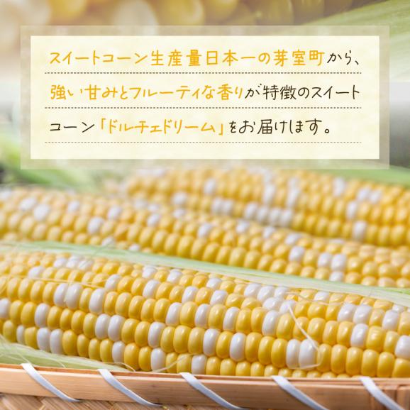 【2025年分先行予約】北海道十勝芽室町　スイートコーン ドルチェドリーム 13本  me062-001c-2503