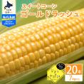 【2025年分先行予約】北海道十勝芽室町 スイートコーンゴールドラッシュ20本 me001-020c-25