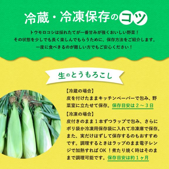 【2025年分先行予約】北海道十勝芽室町 スイートコーンゴールドラッシュ20本 me001-020c-2503