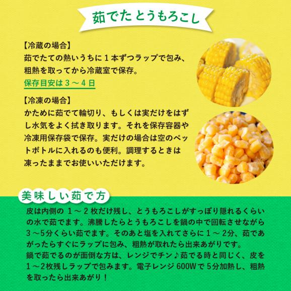 【先行受付】【2026年7月下旬～8月15日頃配送】北海道十勝芽室町 スイートコーンゴールドラッシュ20本 me001-020c-2603
