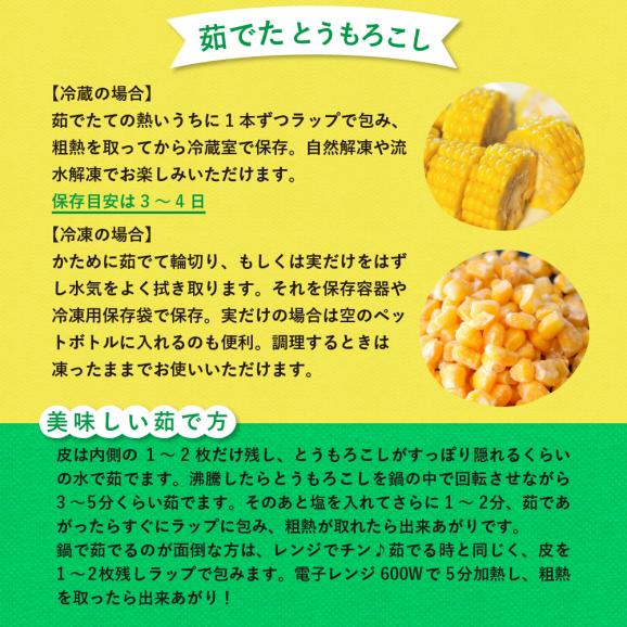 【2025年分先行予約】北海道十勝芽室町 スイートコーンゴールドラッシュ20本 me001-020c-2504