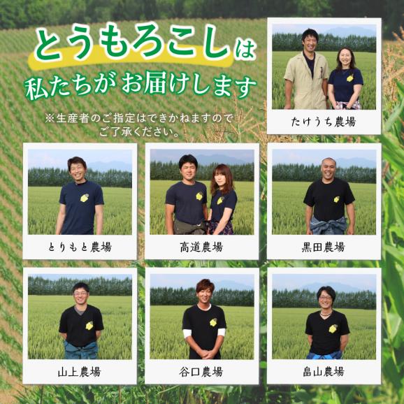 【2025年分先行予約】北海道十勝芽室町 スイートコーンゴールドラッシュ20本 me001-020c-2505