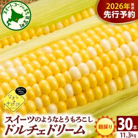 【先行受付】【2026年7月下旬～8月15日頃配送】北海道十勝芽室町 なまら十勝野　ドルチェドリーム(30本) 　me001-044c-26