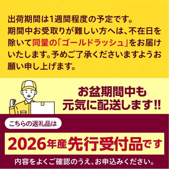 【先行受付】【2026年7月下旬～8月15日頃配送】北海道十勝芽室町 なまら十勝野　ドルチェドリーム(20本) 　me001-045c-2602