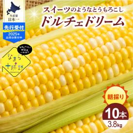 【2025年分先行予約】北海道十勝芽室町 なまら十勝野　ドルチェドリーム(10本) 　me001-043c-25