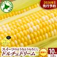 【先行受付】【2026年7月下旬～8月15日頃配送】北海道十勝芽室町 なまら十勝野　ドルチェドリーム(10本) 　me001-043c-26