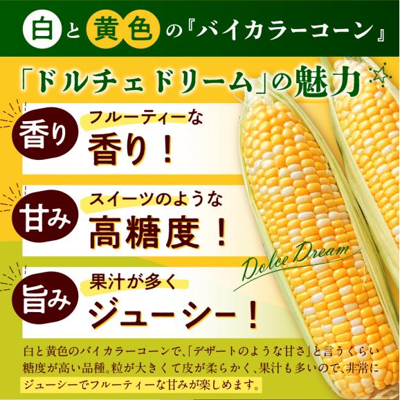 【2025年分先行予約】北海道十勝芽室町 なまら十勝野　ドルチェドリーム(10本) 　me001-043c-2503