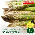 【先行受付】【2026年出荷分】北海道十勝芽室町 なまら十勝野のアスパラ1kg me001-007c-26
