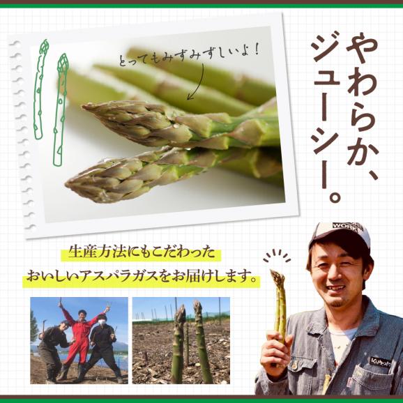 【先行受付】【2026年出荷分】北海道十勝芽室町 なまら十勝野のアスパラ1kg me001-007c-2603