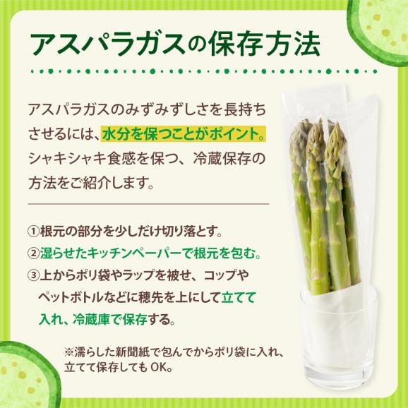 【先行受付】【2026年出荷分】北海道十勝芽室町 なまら十勝野のアスパラ1kg me001-007c-2604