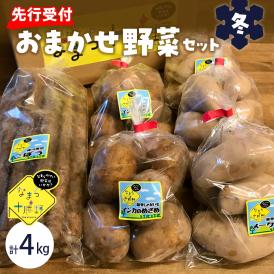 【先行受付】【2026年2月より順次発送】北海道十勝芽室町 季節のおまかせ野菜セット（冬） me001-015c